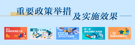 重要政策舉措及實施效果